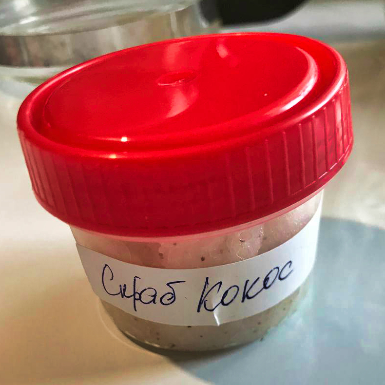 photo_2024-10-31 19.22.381