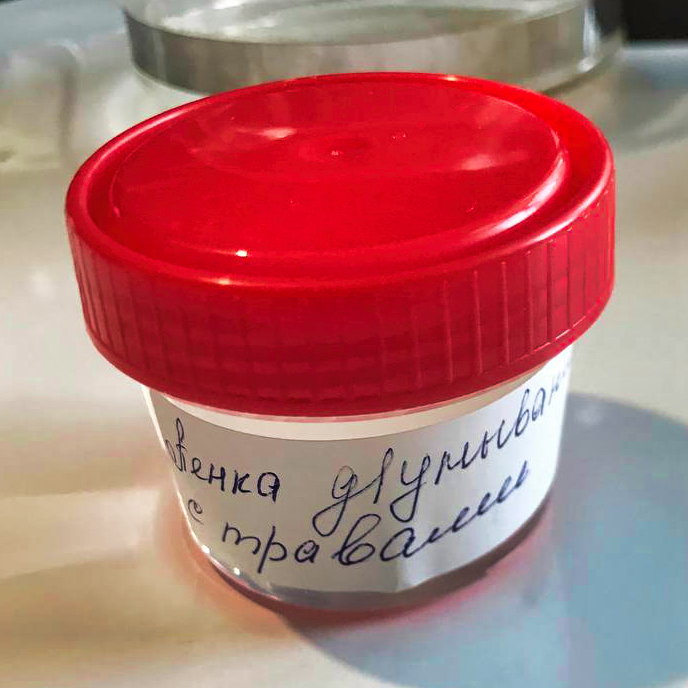 photo_2024-10-31 19.22.571